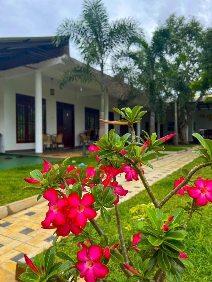 Sigiriya Green Garden Home Exteriér fotografie